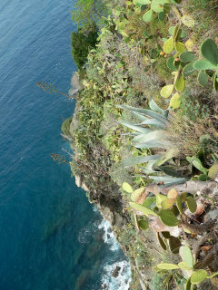 Cliffs at the Five Lands