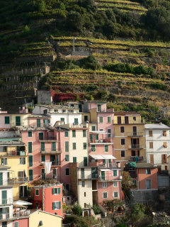 Five Lands terraces