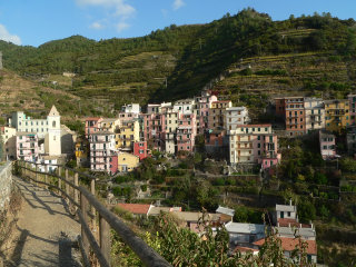 Manarola - trails between the vineyards