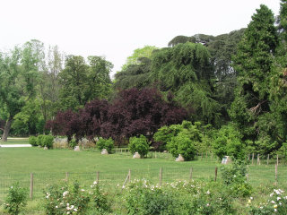 Sempione park in Milan