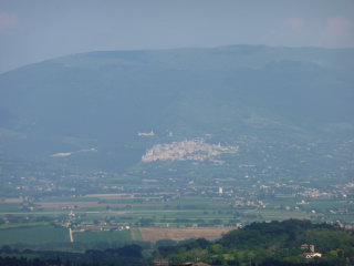 Assisi