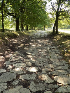 Antica via Flaminia
