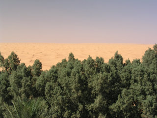 sahara tunisino