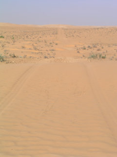 pista nel deserto