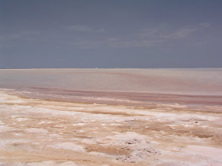 lago salato tunisia